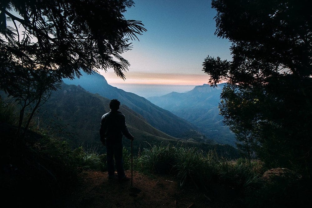 https://avathioutdoors.gumlet.io/travelGuide/dev/munnar_P3046.jpg