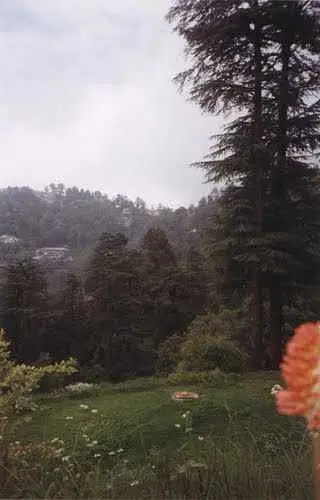 https://avathioutdoors.gumlet.io/travelGuide/dev/mussoorie_P4259.jpg