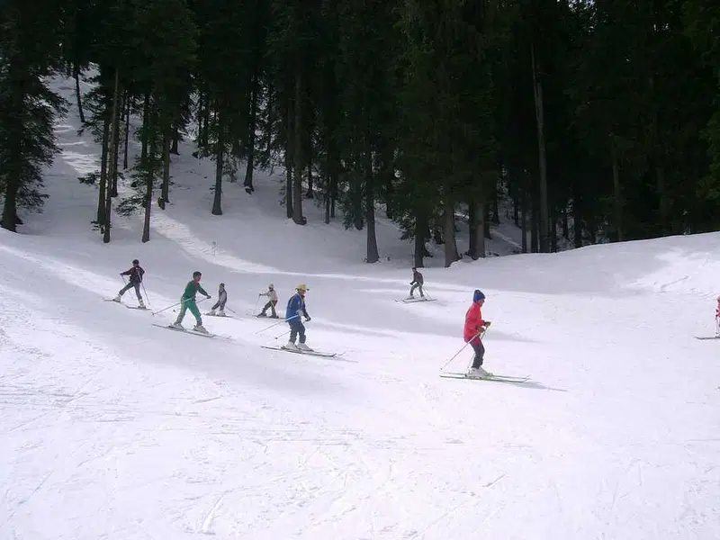 https://avathioutdoors.gumlet.io/travelGuide/dev/narkanda42892.jpg