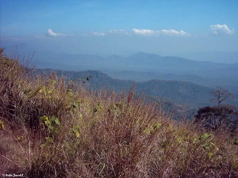 https://avathioutdoors.gumlet.io/travelGuide/dev/nelliyampathy41308.jpg