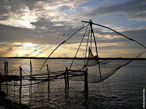 https://avathioutdoors.gumlet.io/travelGuide/dev/nelliyampathy60561.jpg