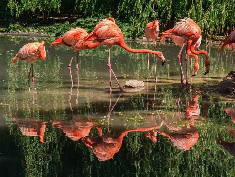 https://avathioutdoors.gumlet.io/travelGuide/dev/nellore_P8705.jpg