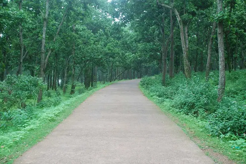 https://avathioutdoors.gumlet.io/travelGuide/dev/netarhat27827.jpg