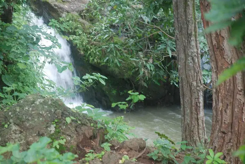 https://avathioutdoors.gumlet.io/travelGuide/dev/netarhat82273.jpg