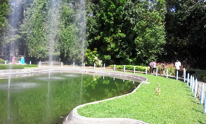 https://avathioutdoors.gumlet.io/travelGuide/dev/nilambur_P9150.jpg