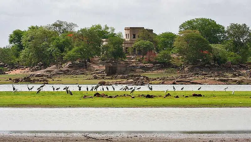 https://avathioutdoors.gumlet.io/travelGuide/dev/nizamabad73099.jpg
