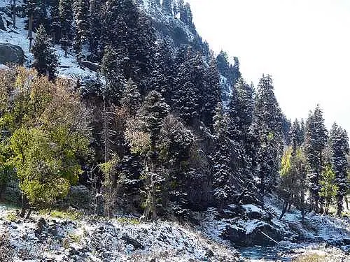 https://avathioutdoors.gumlet.io/travelGuide/dev/pahalgam_P2109.jpg