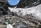 https://avathioutdoors.gumlet.io/travelGuide/dev/pahalgam_P4928.jpg