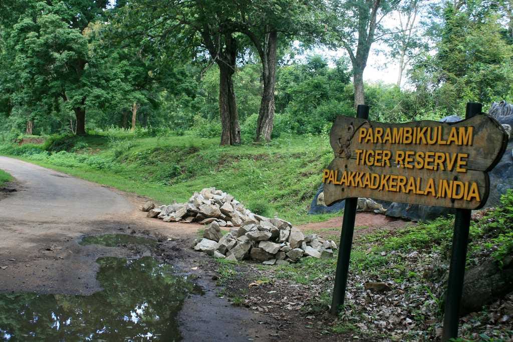 Parambikulam Wildlife Sanctuary, Kerala