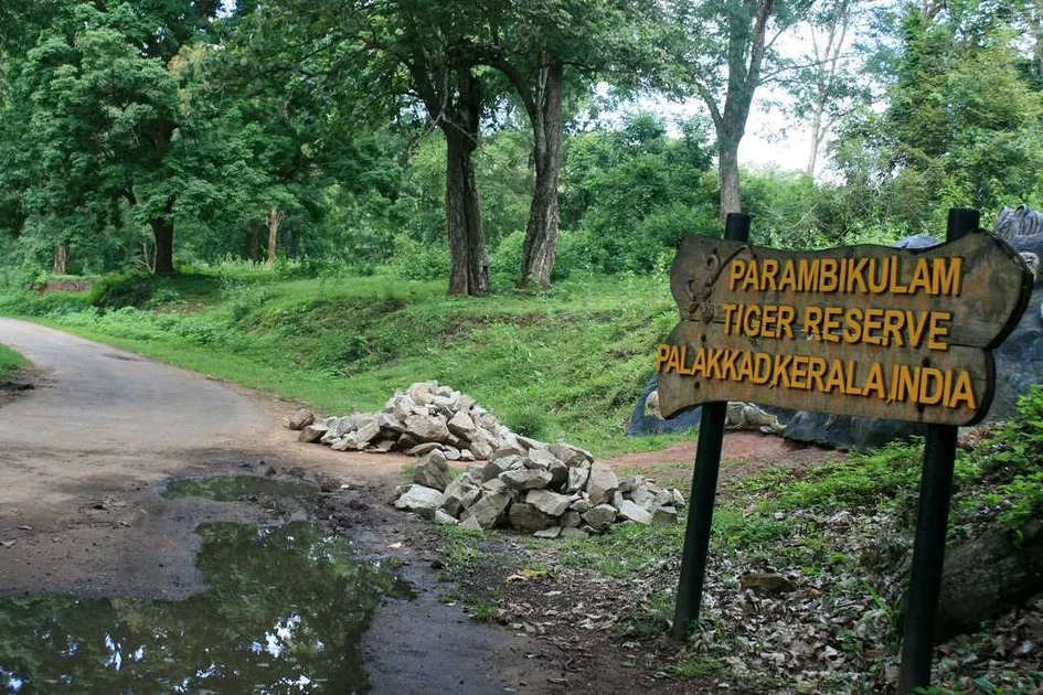 Parambikulam Wildlife Sanctuary, Kerala