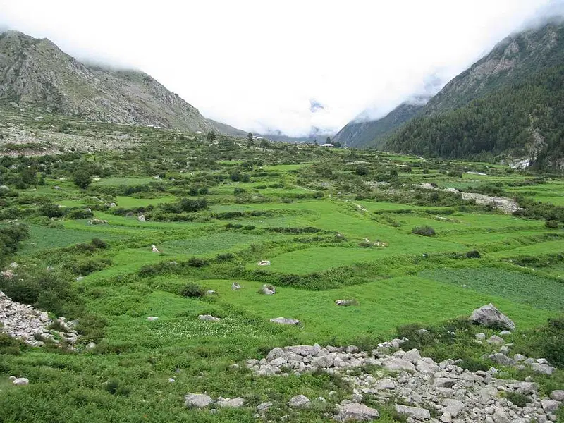 https://avathioutdoors.gumlet.io/travelGuide/dev/sangla94519.jpg