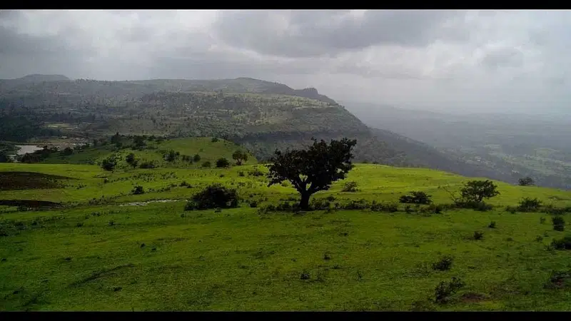 https://avathioutdoors.gumlet.io/travelGuide/dev/saputara71065.jpg