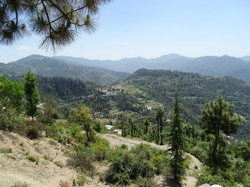 https://avathioutdoors.gumlet.io/travelGuide/dev/shimla_P1631.jpg