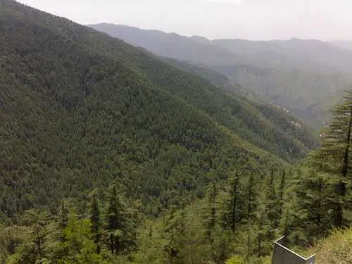 Explore Shimla Reserve Forest Sanctuary