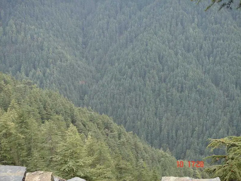 https://avathioutdoors.gumlet.io/travelGuide/dev/shimla_P5362.jpg