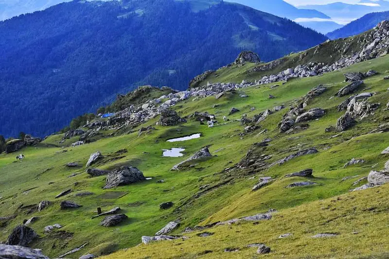 https://avathioutdoors.gumlet.io/travelGuide/dev/shimla_P5854.jpg