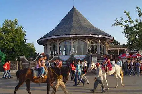 Explore Shimla and Kufri on Horseback