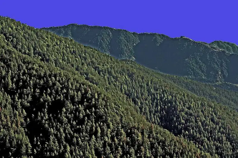 https://avathioutdoors.gumlet.io/travelGuide/dev/shimla_P9428.jpg