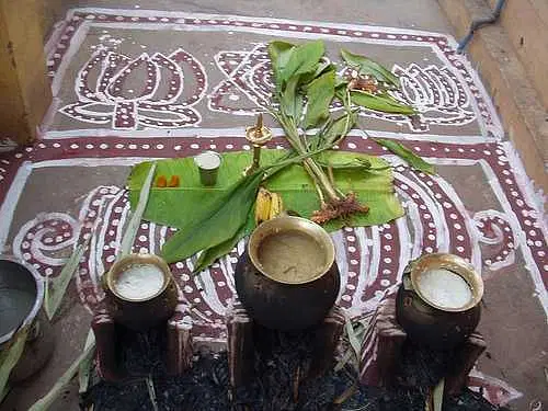 Celebrate Pongal Festival in Shimoga