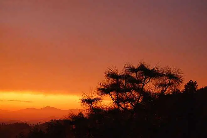 https://avathioutdoors.gumlet.io/travelGuide/dev/shoghi_P4187.jpg