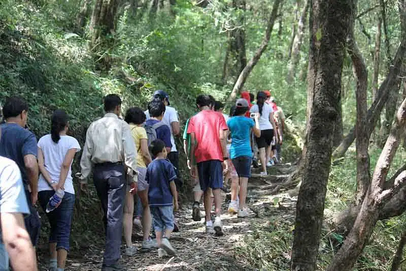 Explore Adventure Sports in Shoghi, Himachal Pradesh