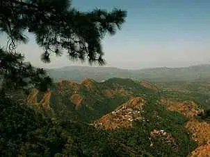 Go Bird Watching in Shoghi