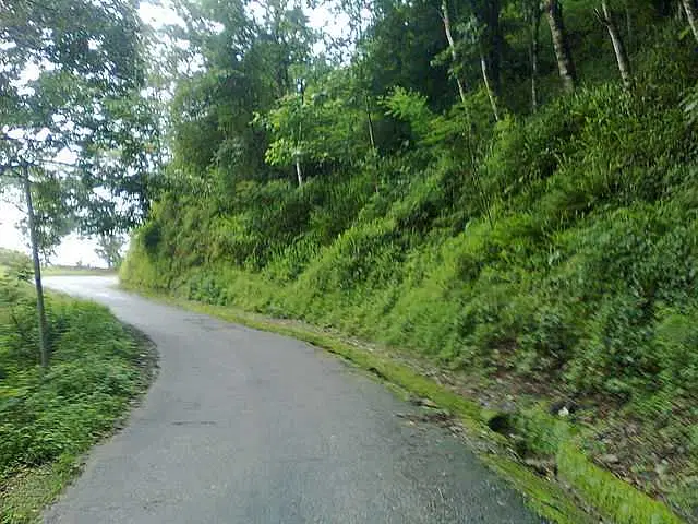 https://avathioutdoors.gumlet.io/travelGuide/dev/south-sikkim33976.jpg