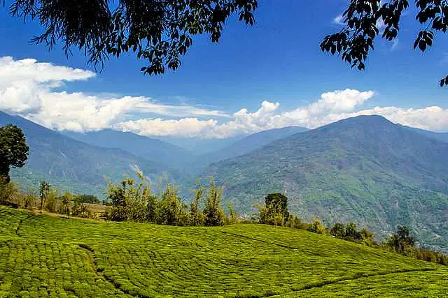 https://avathioutdoors.gumlet.io/travelGuide/dev/south-sikkim95398.jpg