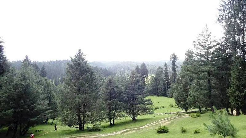 https://avathioutdoors.gumlet.io/travelGuide/dev/srinagar_P1213.jpg
