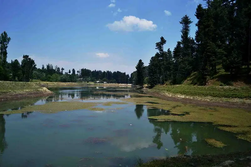 https://avathioutdoors.gumlet.io/travelGuide/dev/srinagar_P3930.jpg