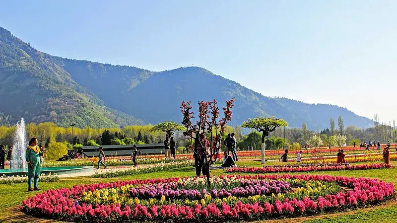 Explore Nehru Garden