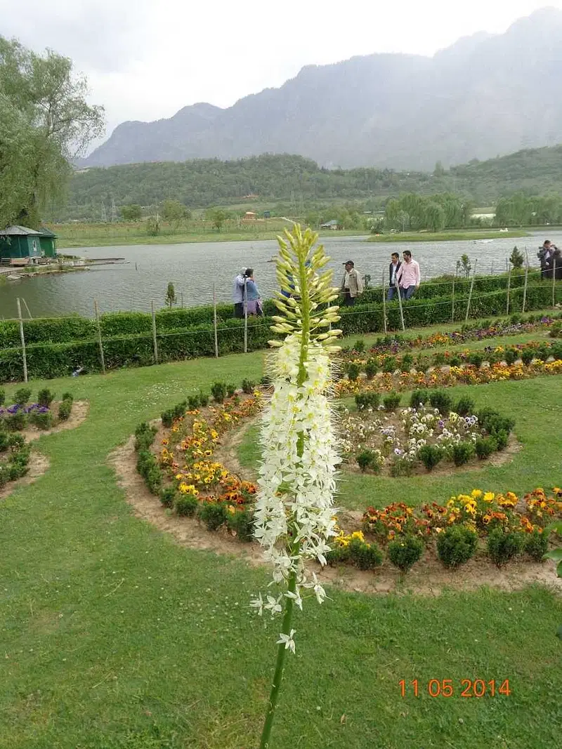 https://avathioutdoors.gumlet.io/travelGuide/dev/srinagar_P7526.jpg