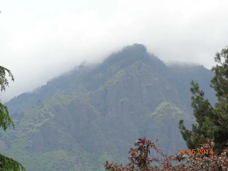https://avathioutdoors.gumlet.io/travelGuide/dev/srinagar_P9206.jpg