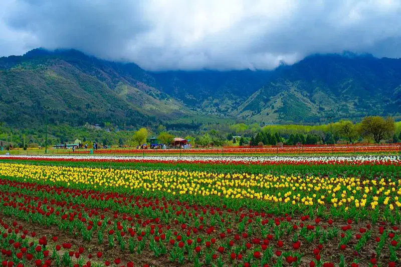 https://avathioutdoors.gumlet.io/travelGuide/dev/srinagar_P9382.jpg