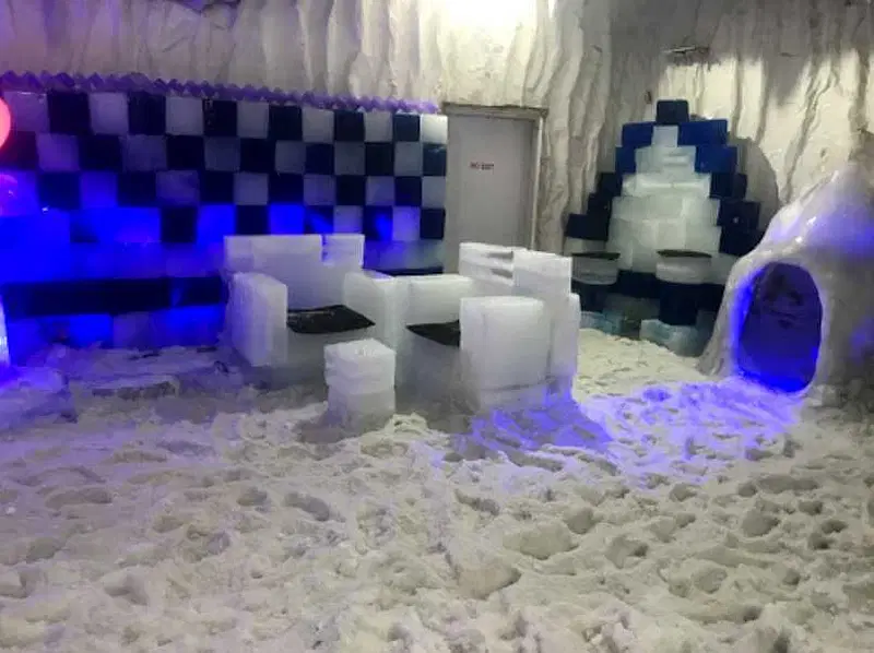 Experience Snow Fun at Snow Park