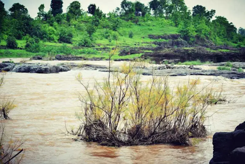 Explore Padamdungri Ecotourism Campsite