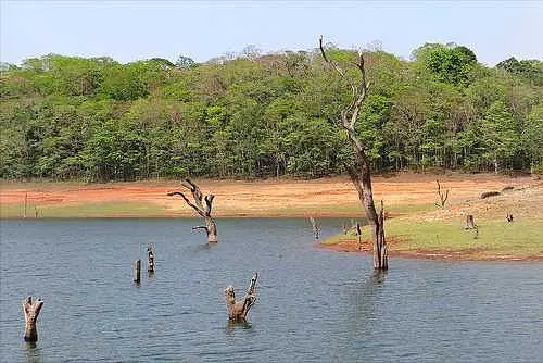 https://avathioutdoors.gumlet.io/travelGuide/dev/thekkady_P2339.jpg