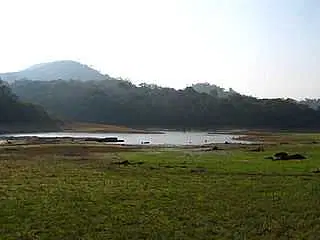Explore Thekkady Lake