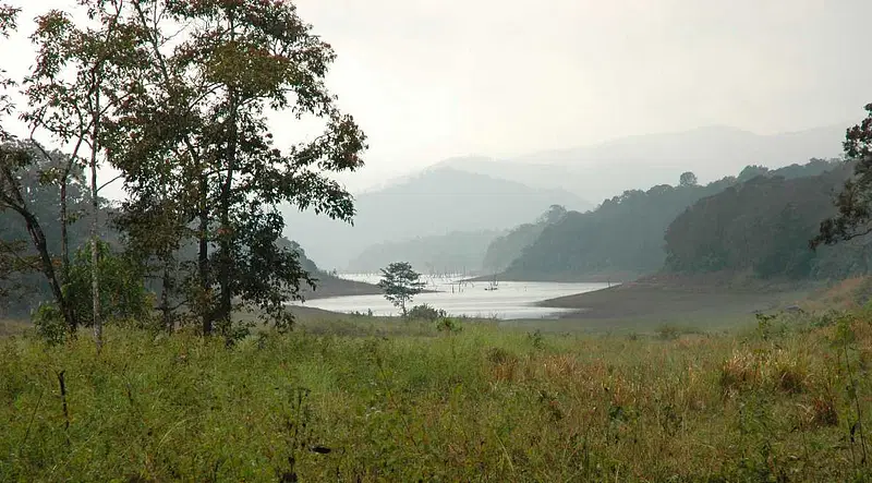 https://avathioutdoors.gumlet.io/travelGuide/dev/thekkady_P9726.jpg