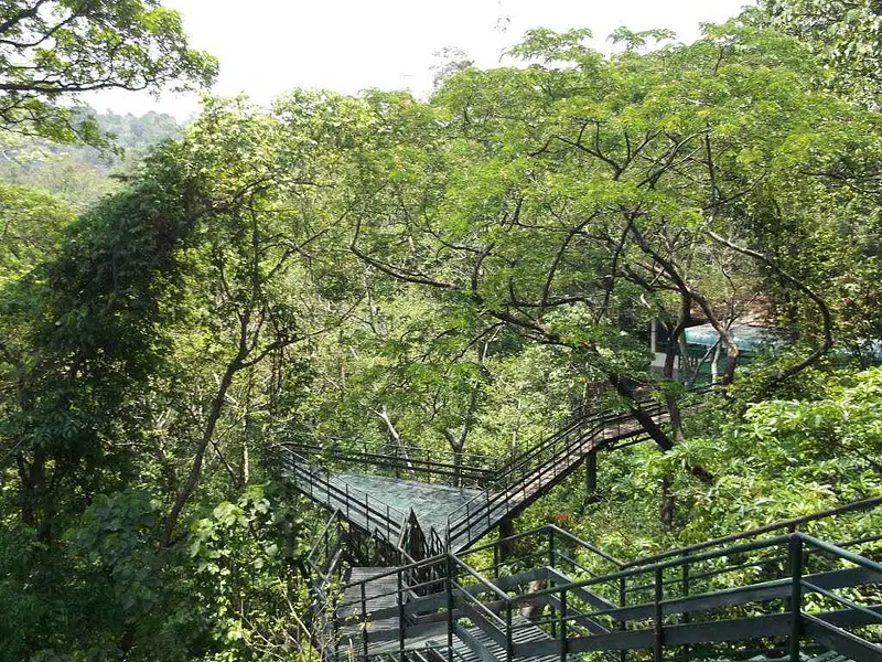 https://avathioutdoors.gumlet.io/travelGuide/dev/thenmala43704.jpg
