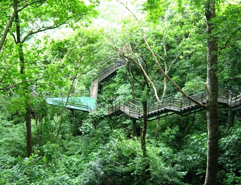 https://avathioutdoors.gumlet.io/travelGuide/dev/thenmala73075.jpg