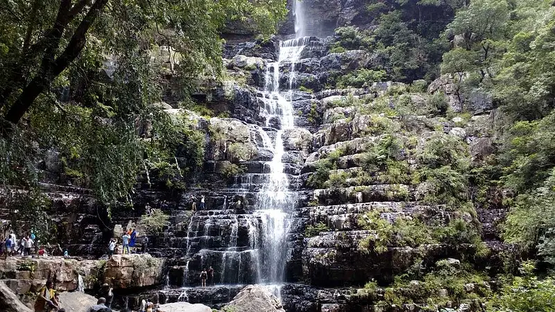 https://avathioutdoors.gumlet.io/travelGuide/dev/tirupati_P4586.jpg
