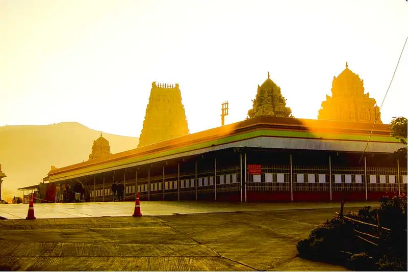 https://avathioutdoors.gumlet.io/travelGuide/dev/tirupati_P4745.jpg