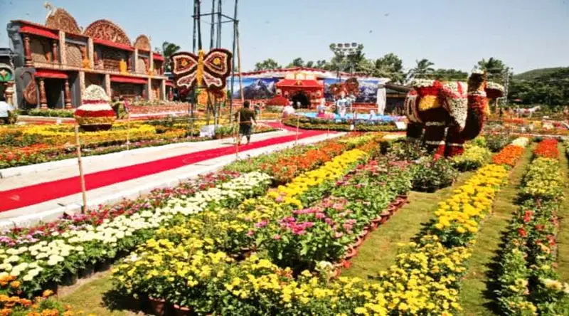 https://avathioutdoors.gumlet.io/travelGuide/dev/tirupati_P6896.jpg