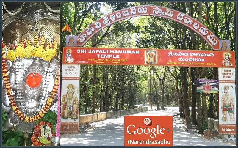 https://avathioutdoors.gumlet.io/travelGuide/dev/tirupati_P7056.jpg