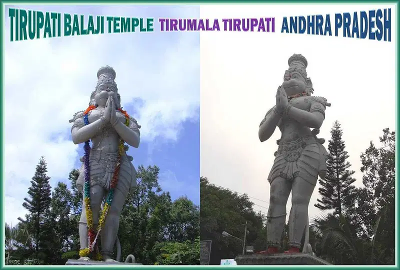 https://avathioutdoors.gumlet.io/travelGuide/dev/tirupati_P7942.jpg