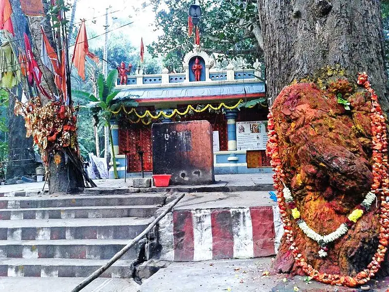 https://avathioutdoors.gumlet.io/travelGuide/dev/tirupati_P9712.jpg