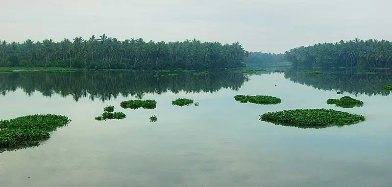 Explore Akkulam Lake in Trivandrum