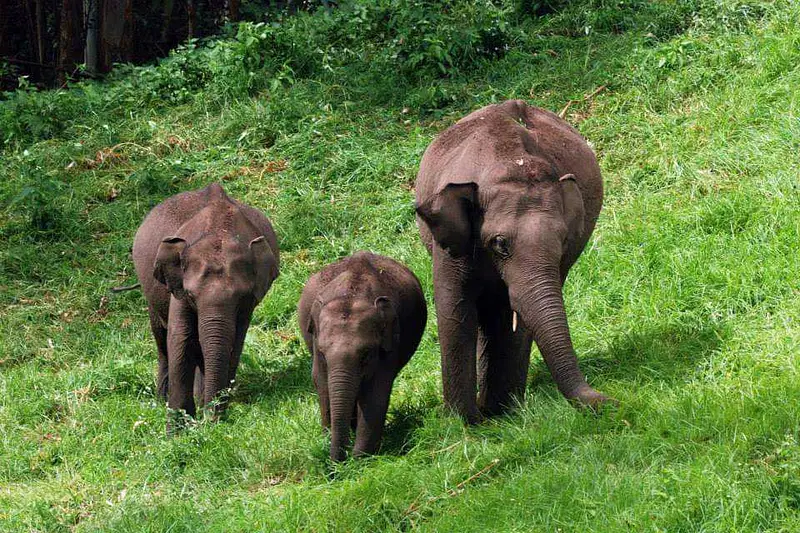 https://avathioutdoors.gumlet.io/travelGuide/dev/trivandrum_P8675.jpg