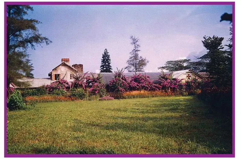 Visit Kurisumala Ashram